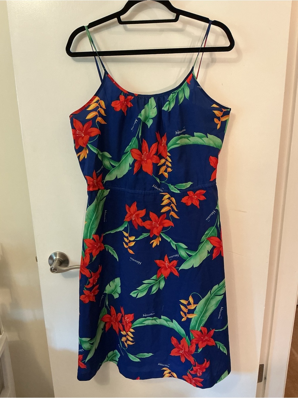 Blue Floral Spaghetti-Strap Mini Dress with Red Bloom Print